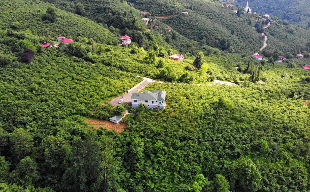 Luxury Nature Life Villa - Hizvo