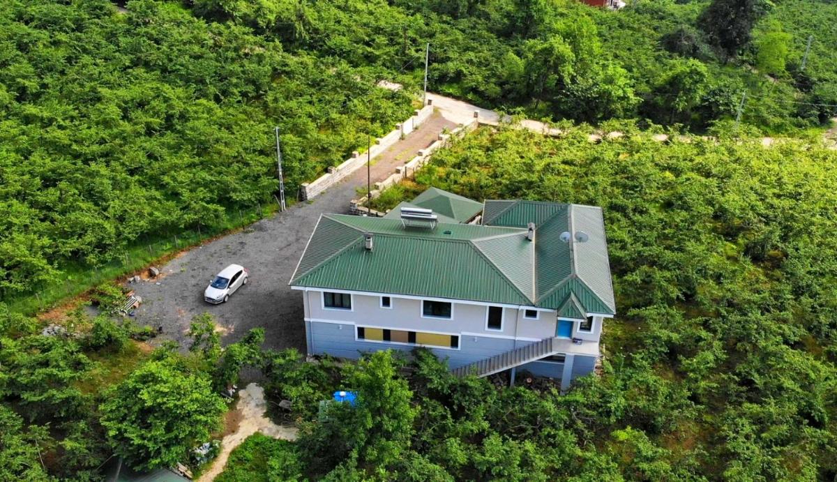 Luxury Nature Life Villa - Hizvo