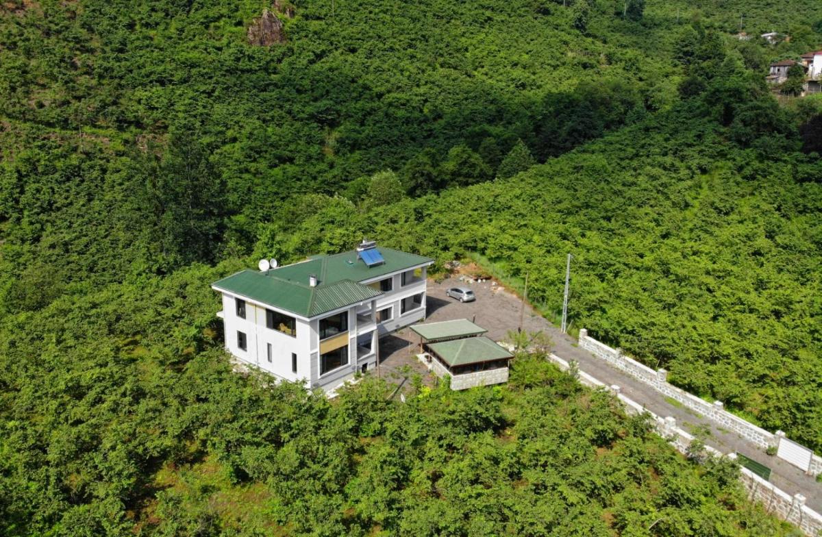 Luxury Nature Life Villa - Hizvo