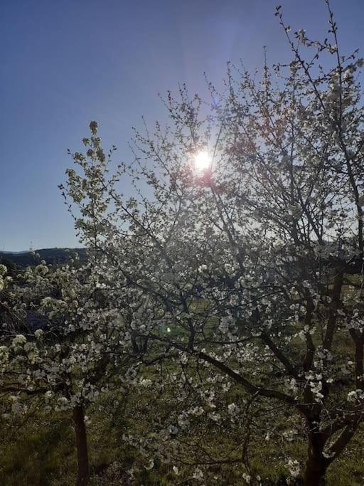 Ioannina Cozy Retreat - Housity