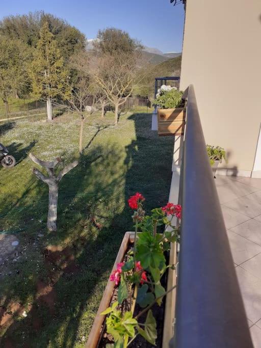 Ioannina Cozy Retreat - Housity