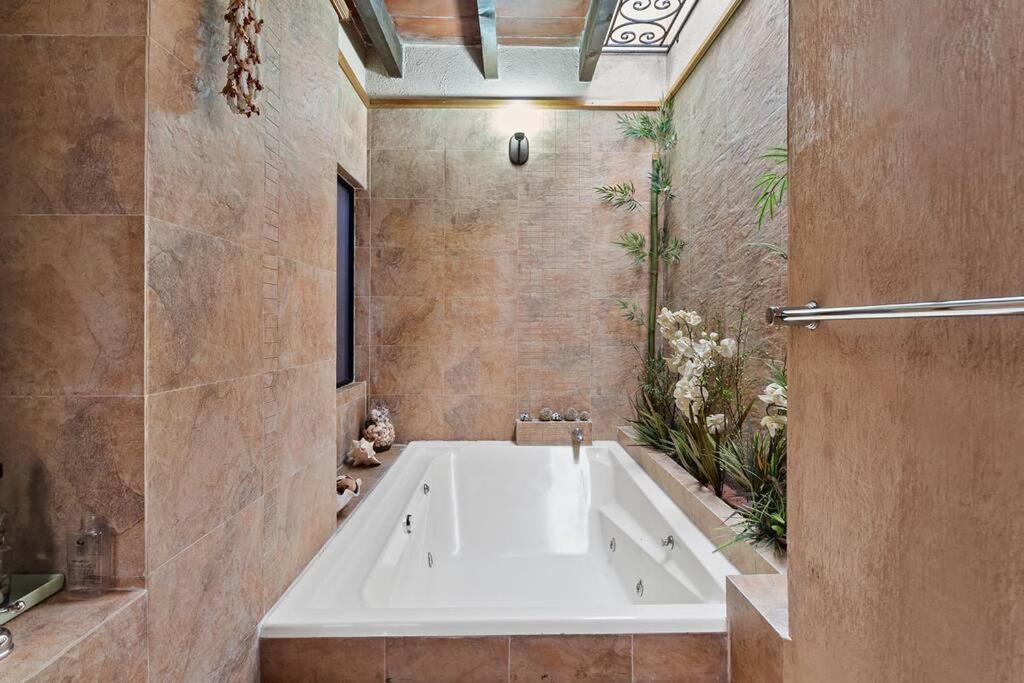 +MS +Casa Tequis +Hermoso Jardín - Housity