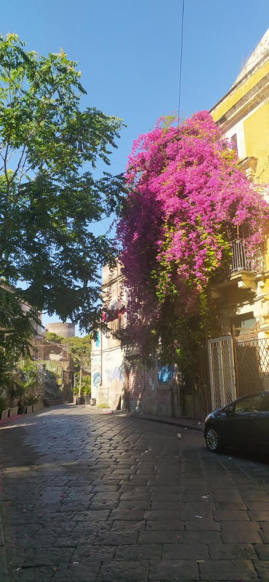 Lina's House - Housity