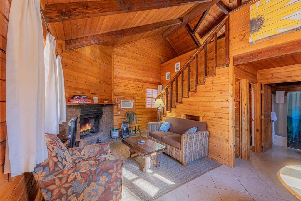 Forest Cabin 2 Birds Nest - Housity