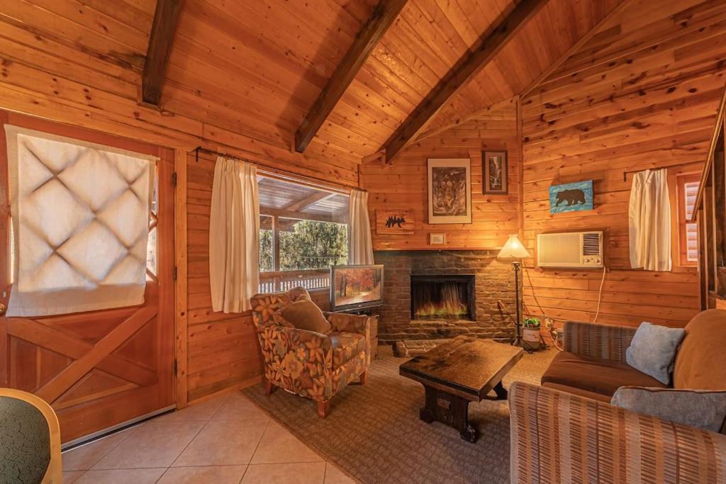 Forest Cabin 3 Bear's Den - Housity