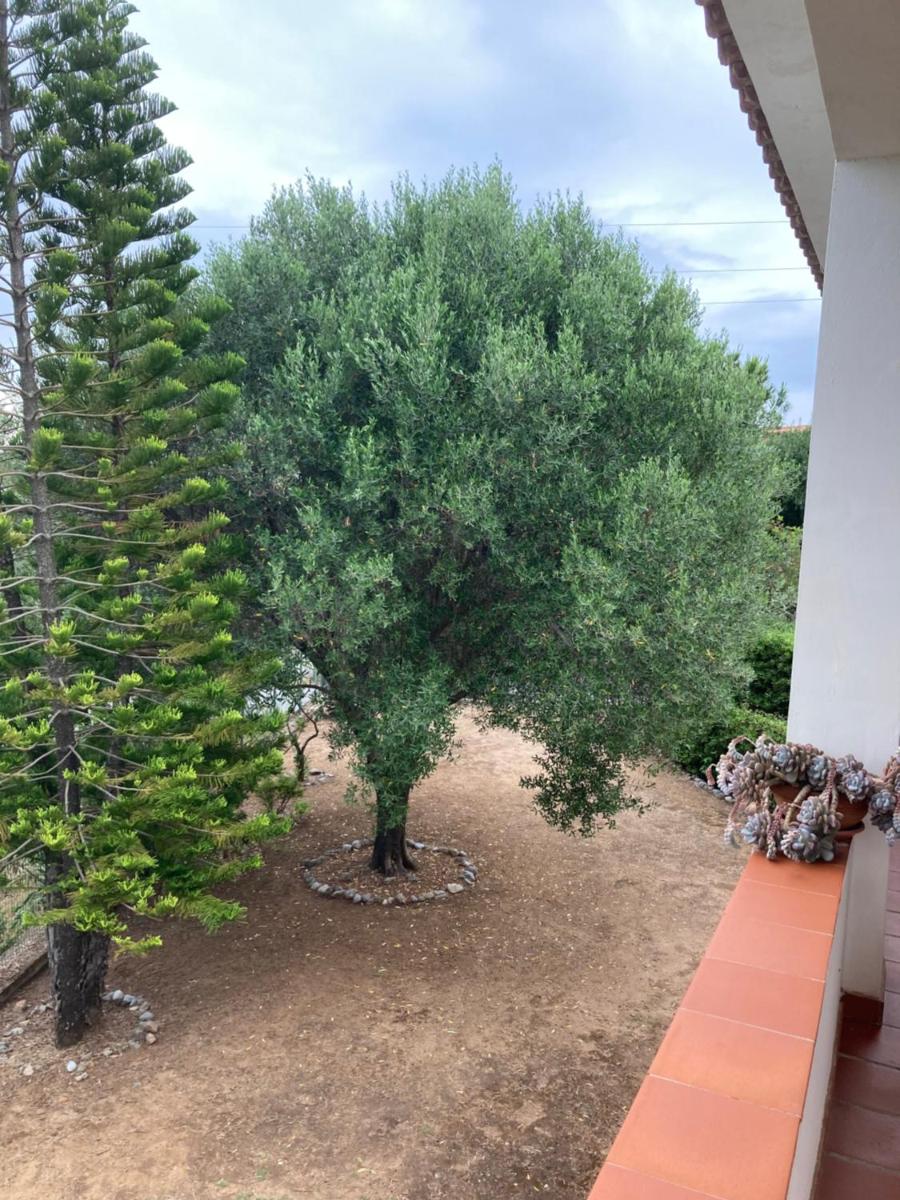 Suitetrails - Villa Mariolina