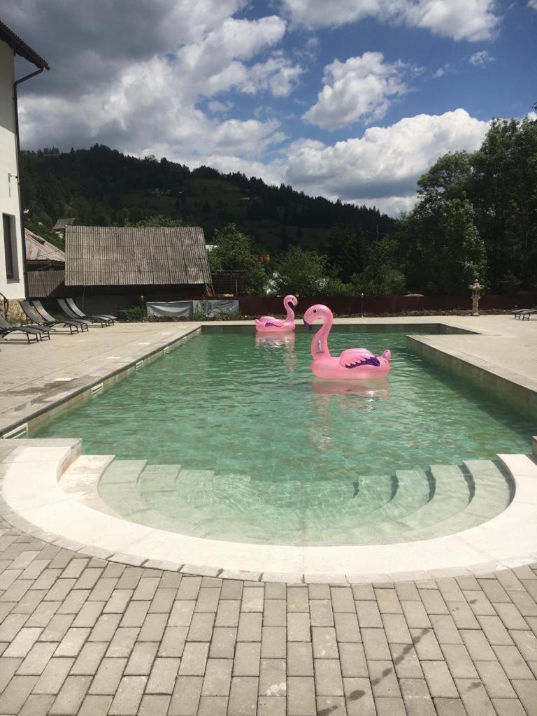 Pension Onelia - Housity