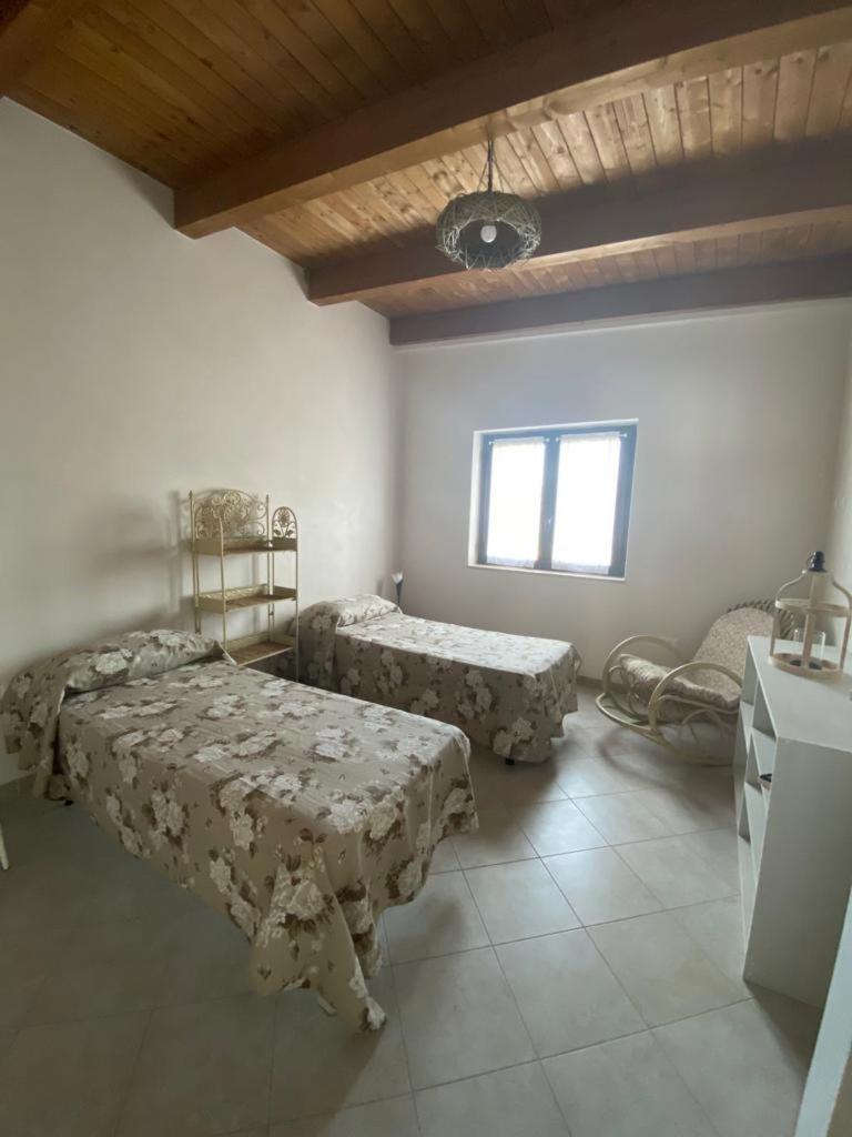Carmen House - Hizvo