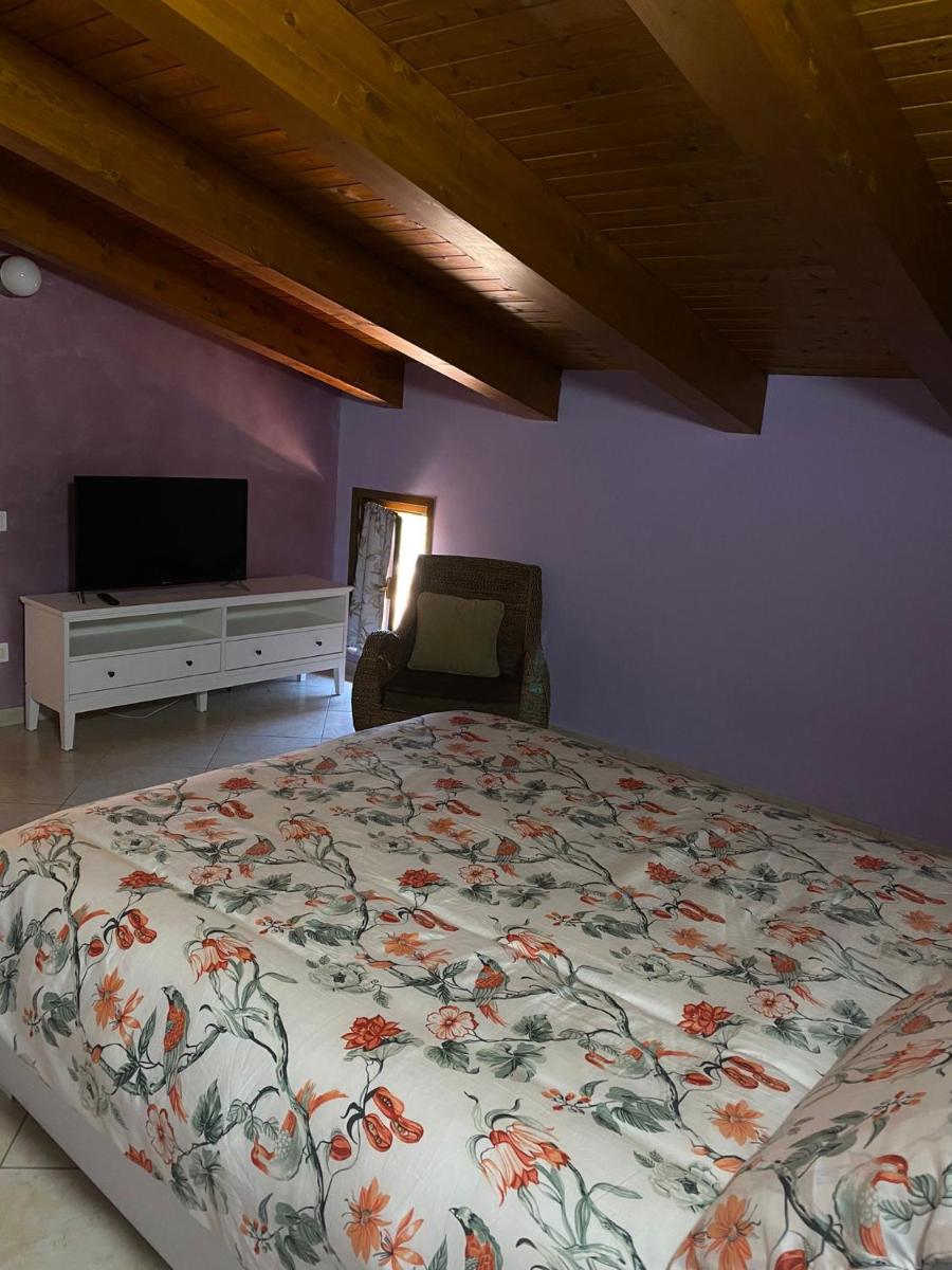 beucarnea apartment salerno - Housity