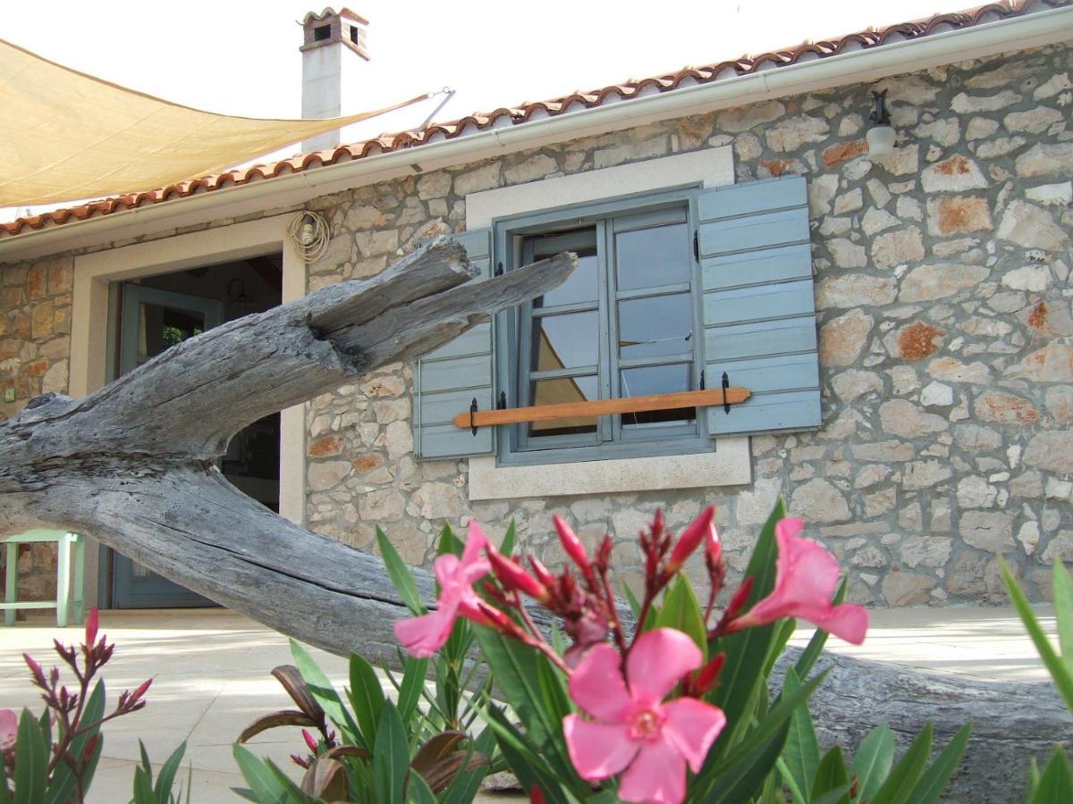 House Lemon Tree - Housity