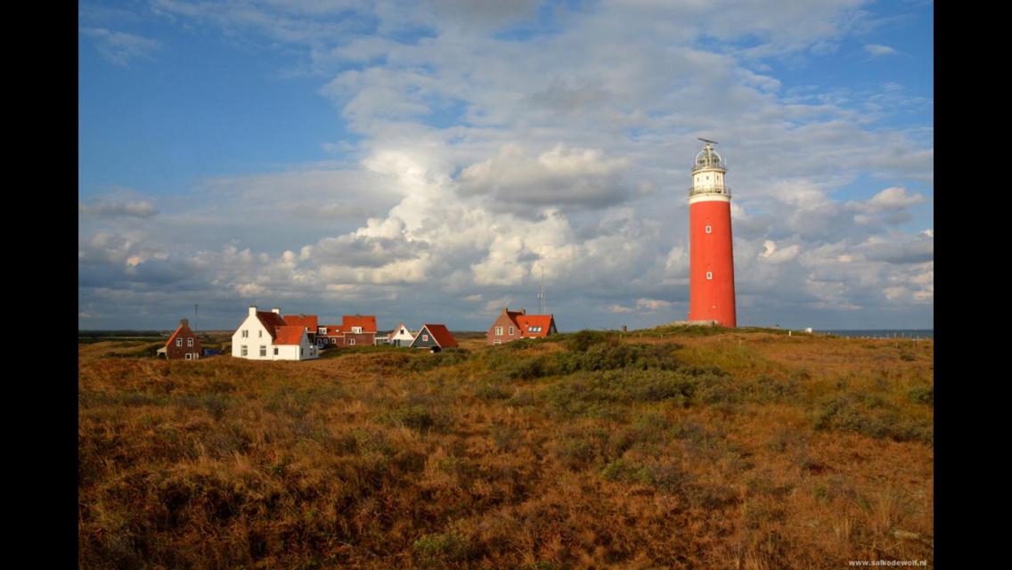 Texelstrand - Housity