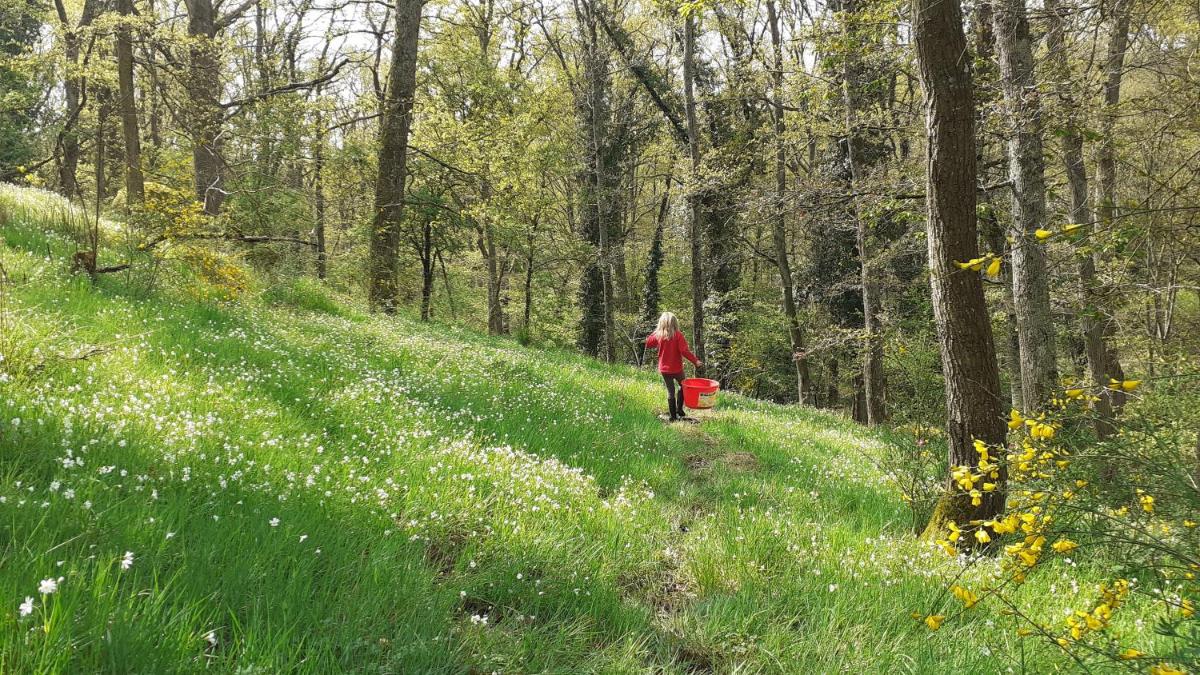 Superbe Moulin au bord d'une riviere, au calme, avec piano - Housity