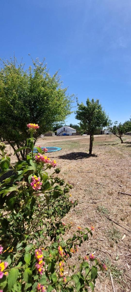 Pine 3 Inn, holiday home, activities and more - Housity
