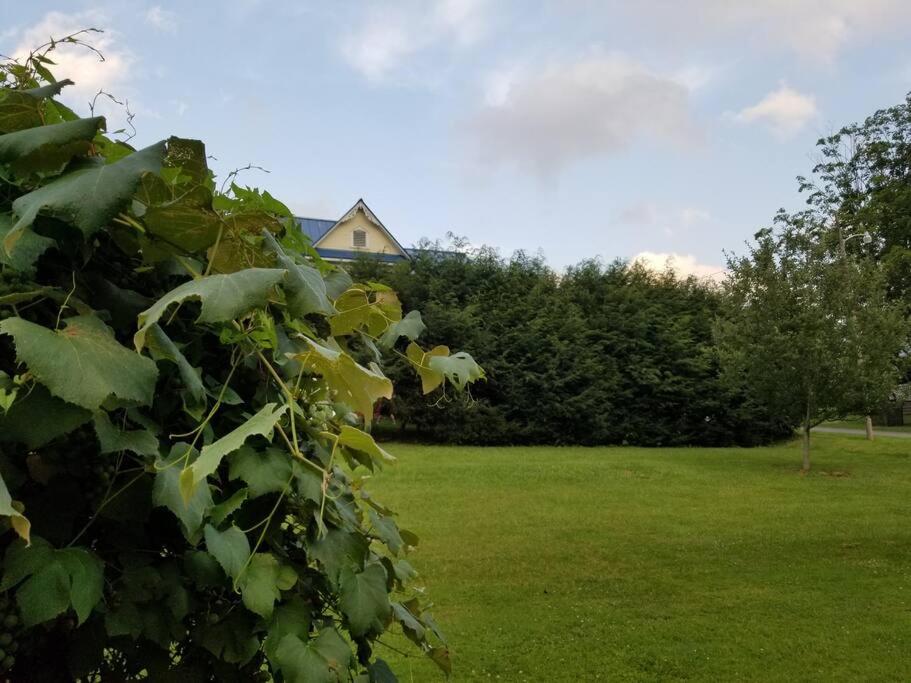 BaseCampWV-Durbin. Spacious 4 bedroom house w/yard - Housity