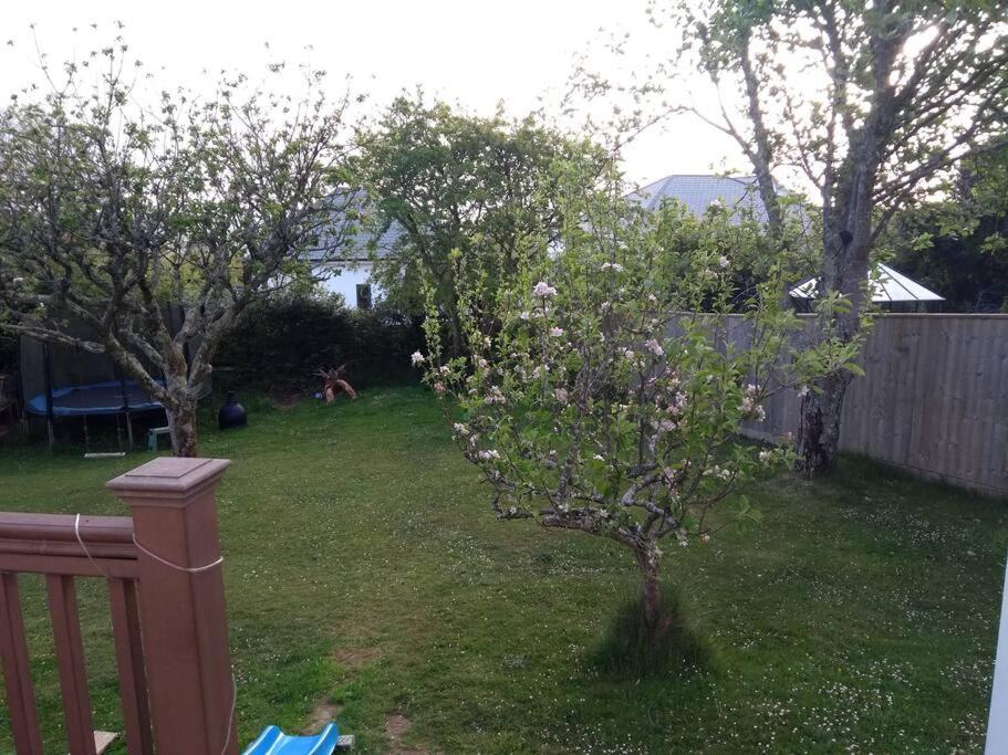 Dingley Dell - Superb location for Truro in private accommodation - Housity