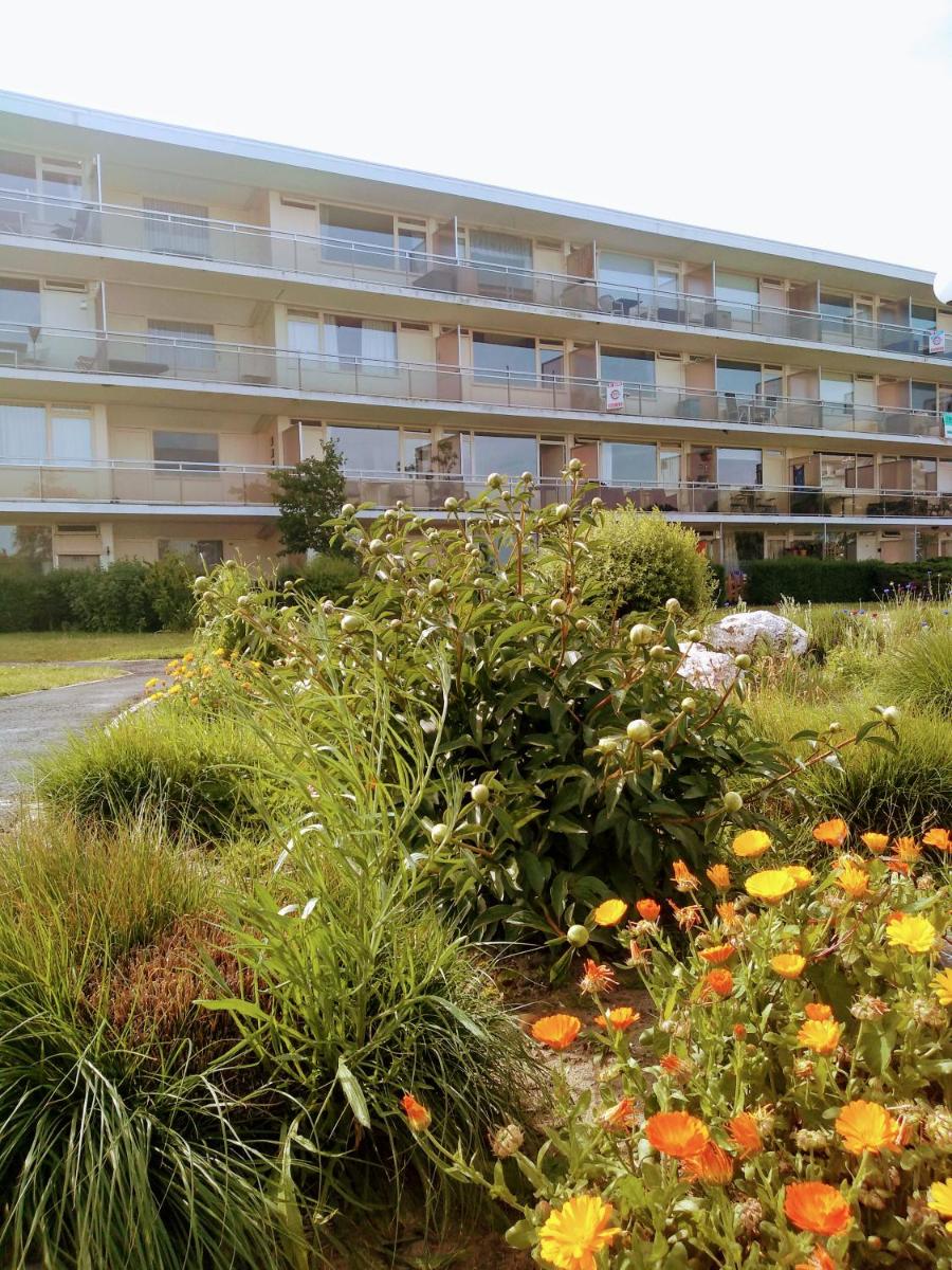 Joy & Happiness vakantiewoning aan de kust - Hizvo