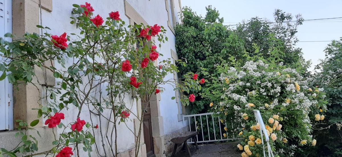 Maison familiale Ronchonnette et mon Repos - Housity
