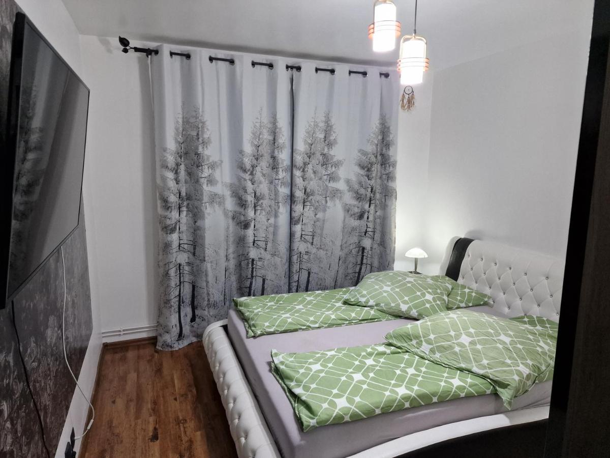 Apartament Alex - Housity