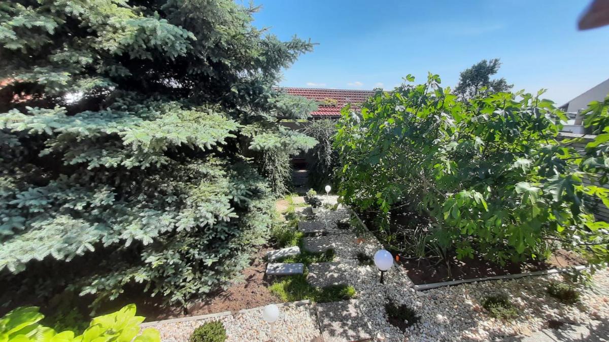 Apartmán Levandule - Housity