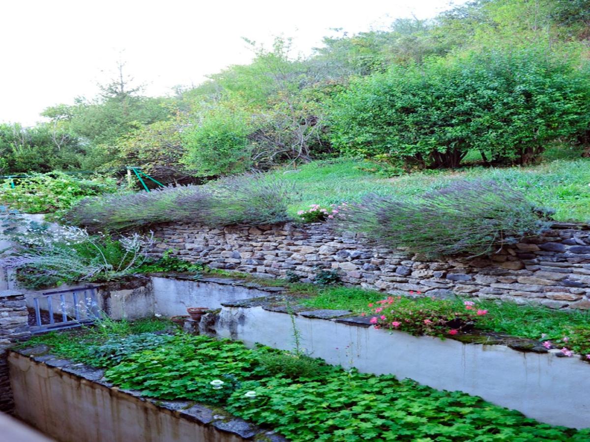 Jardin de l'établissement Hotel La Bougnate