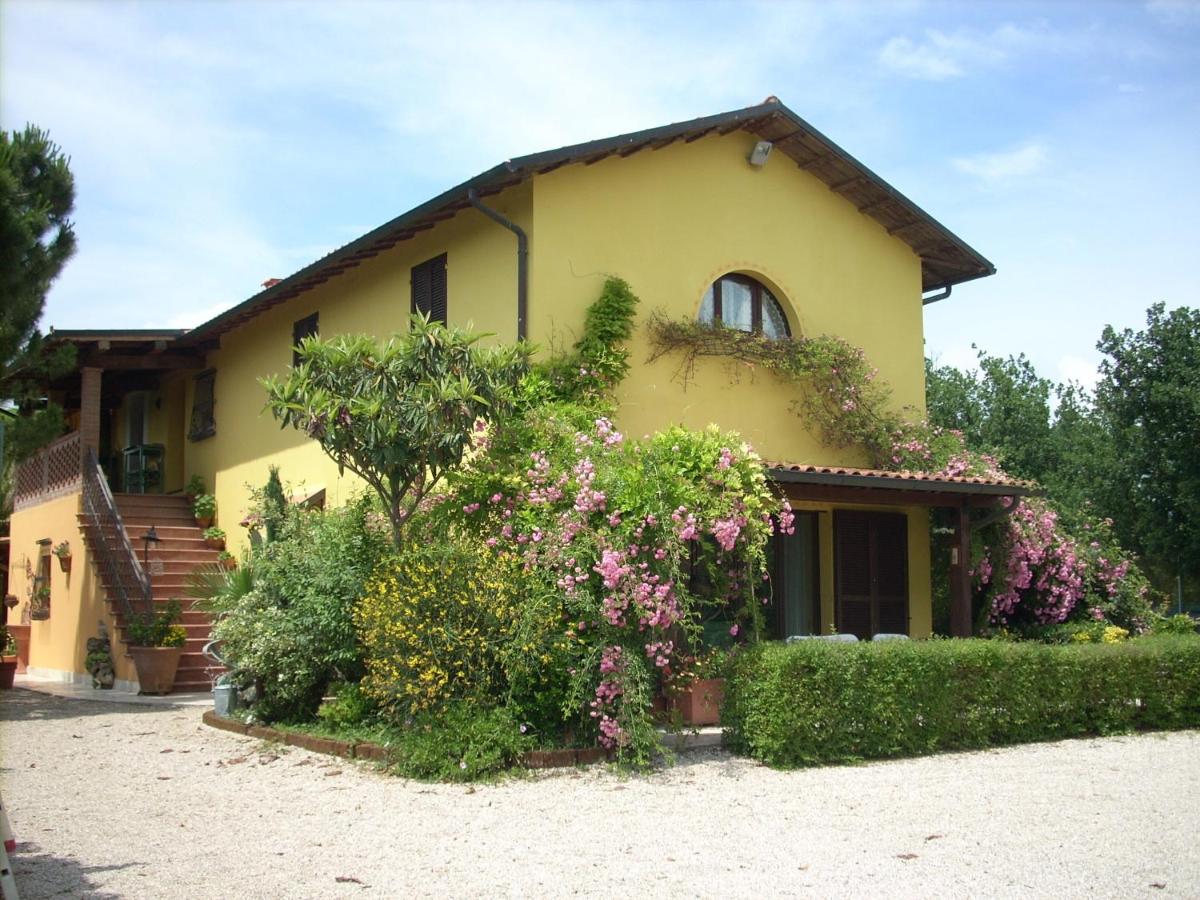B&B Piceno - Housity