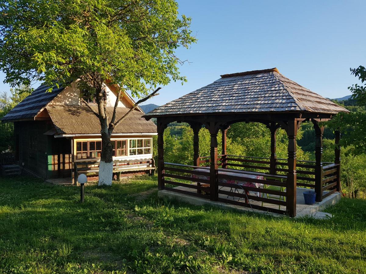 Ninga Rai - Housity
