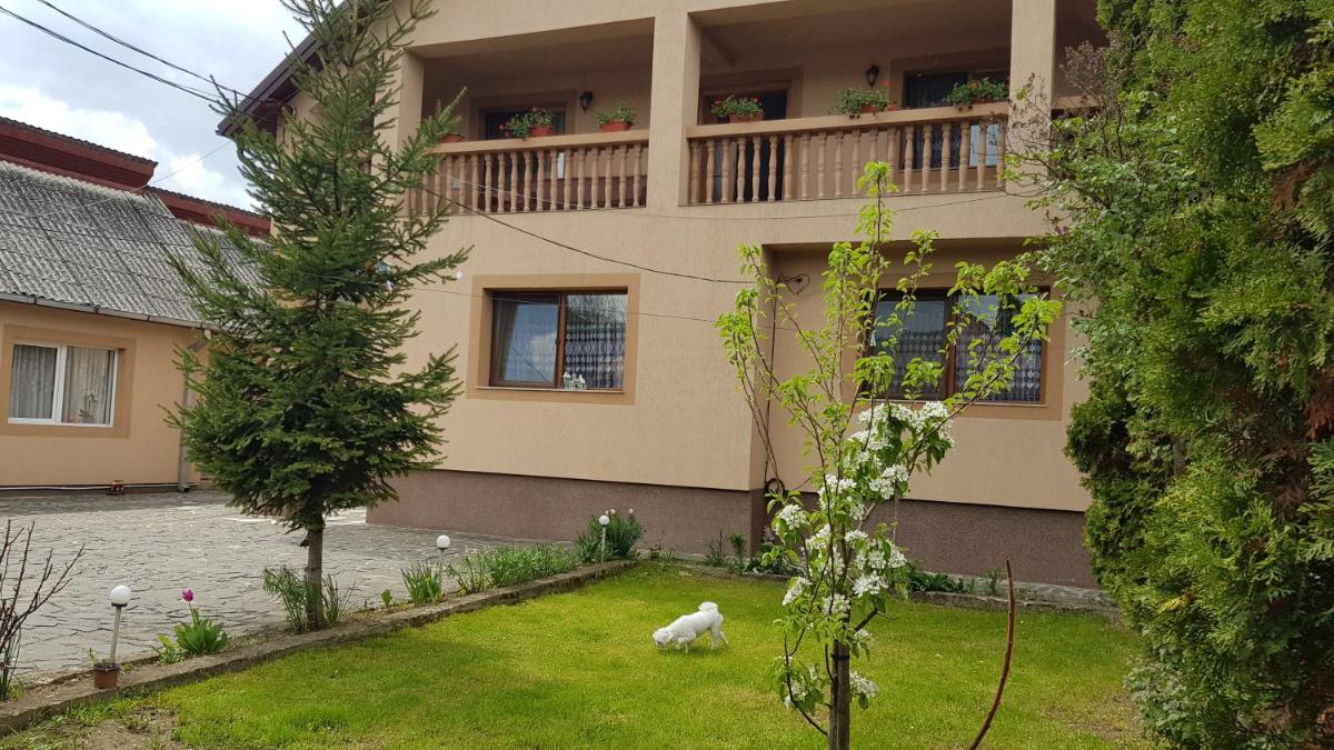 Pensiunea Todorica Sergiu - Housity