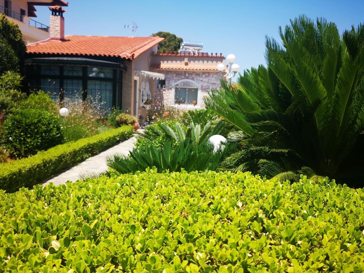 Natalie Apartments - Housity