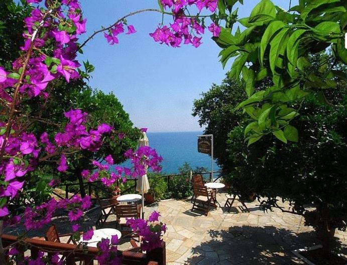 Villa Sunray - Housity