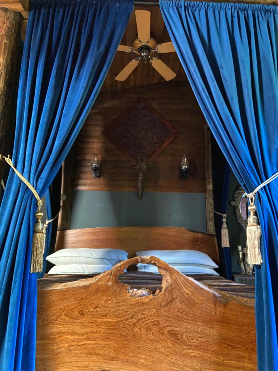Jungle Cabin - Housity
