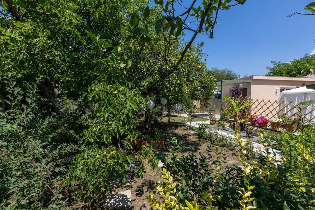 Bougainvillea house with private garden - Housity