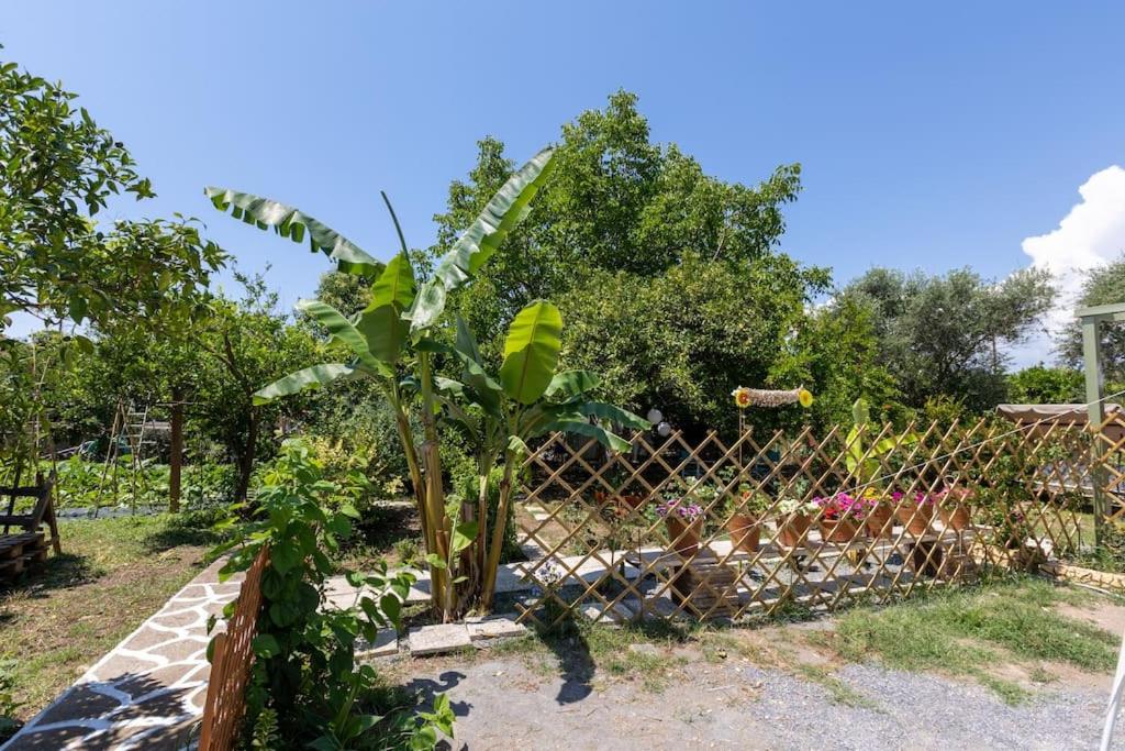 Bougainvillea house with private garden - Housity
