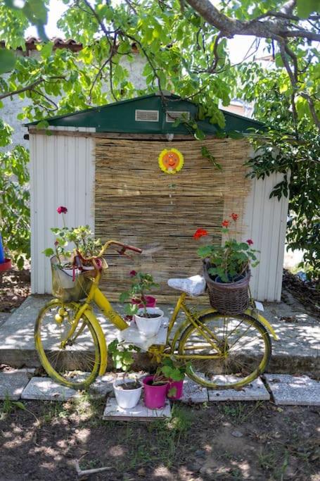 Bougainvillea house with private garden - Housity