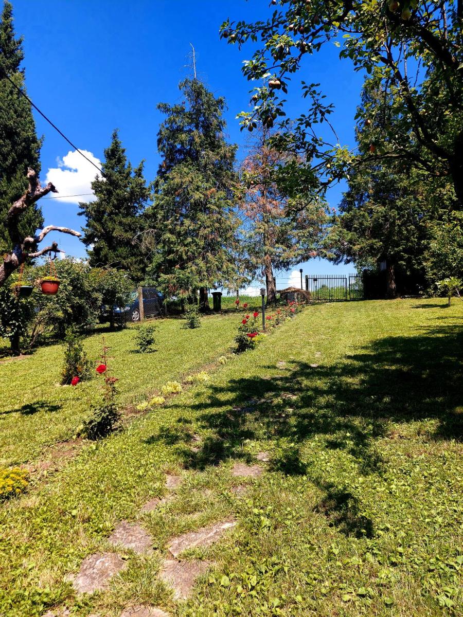 Klinačka priča - Housity