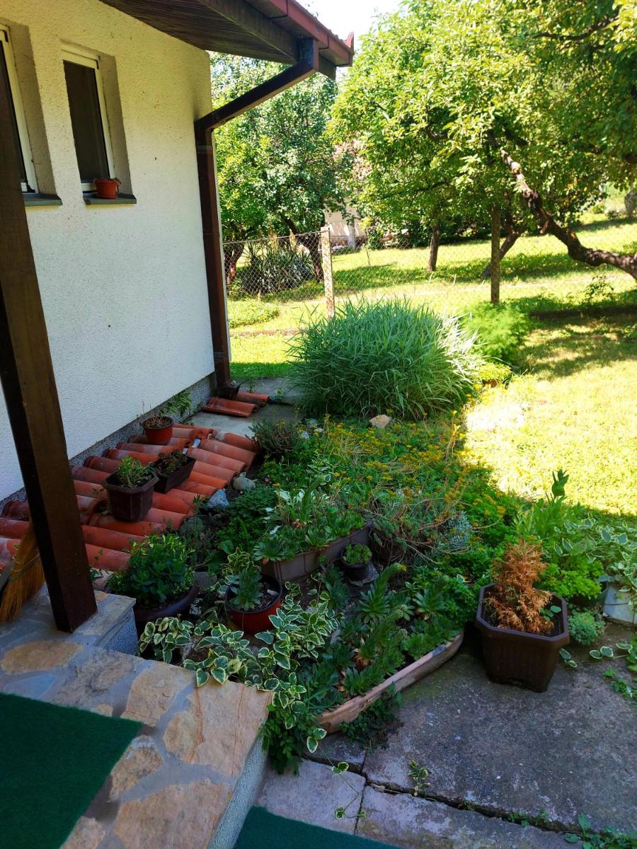 Klinačka priča - Housity