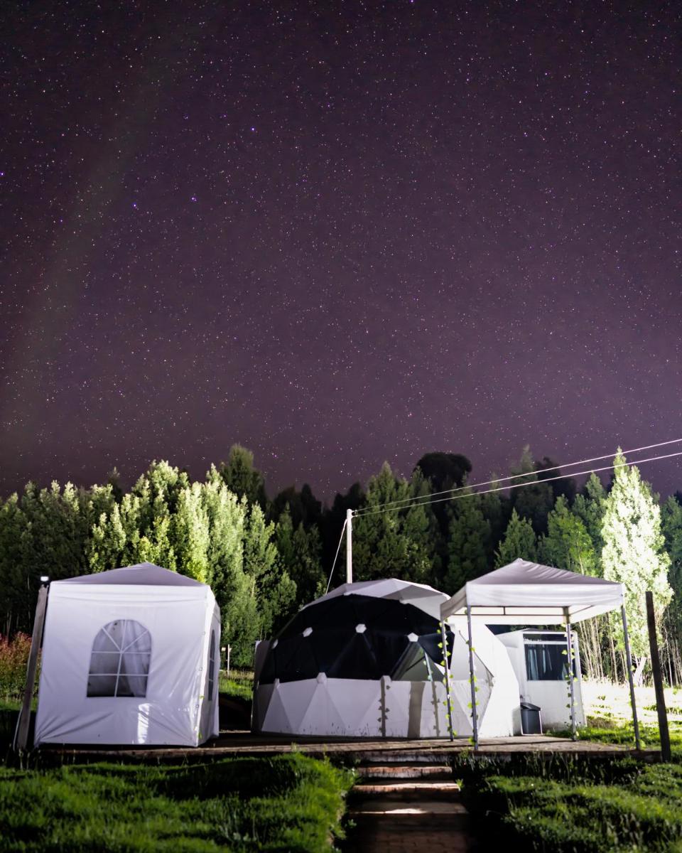 Glamping Irlanda - Housity