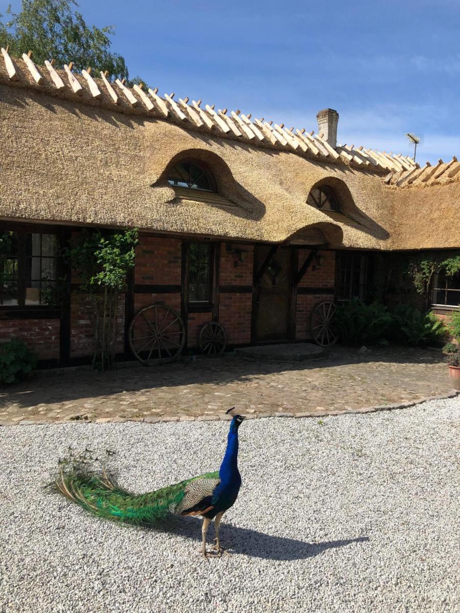 Cottage on unique farm - Housity