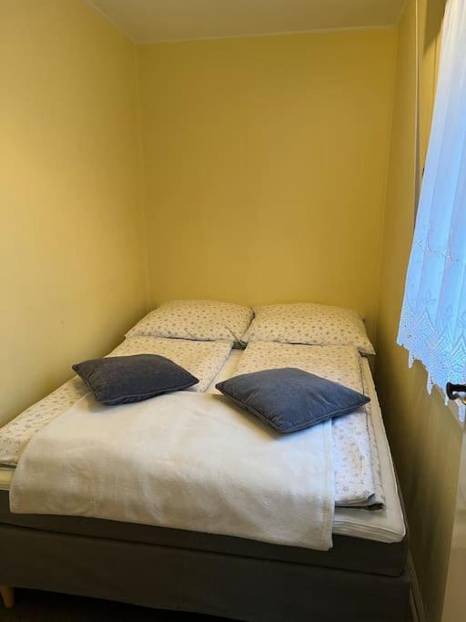 Bungalow im Kiefernwald direkt an der Ostsee (a) - Housity