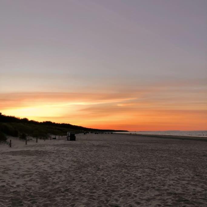 Bungalow im Kiefernwald direkt an der Ostsee (b) - Housity