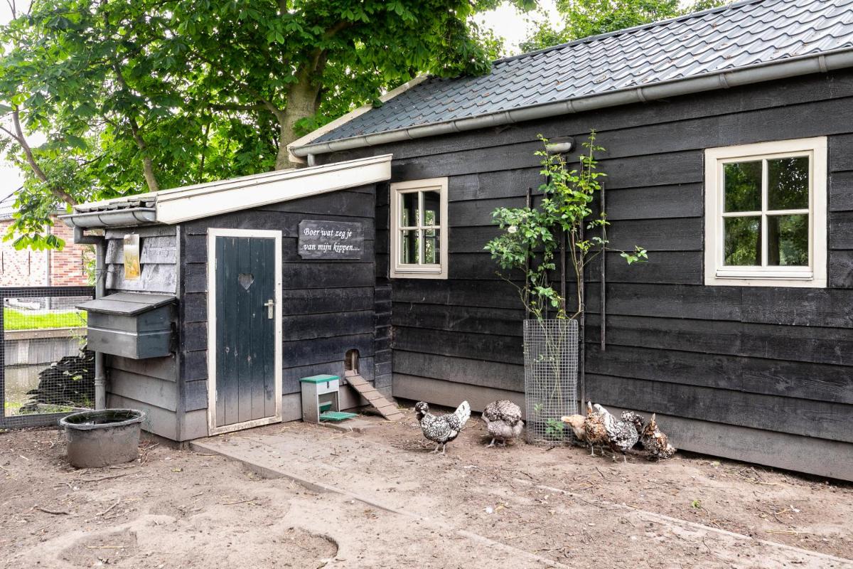 Cottage 'Onder de boompjes' - Housity