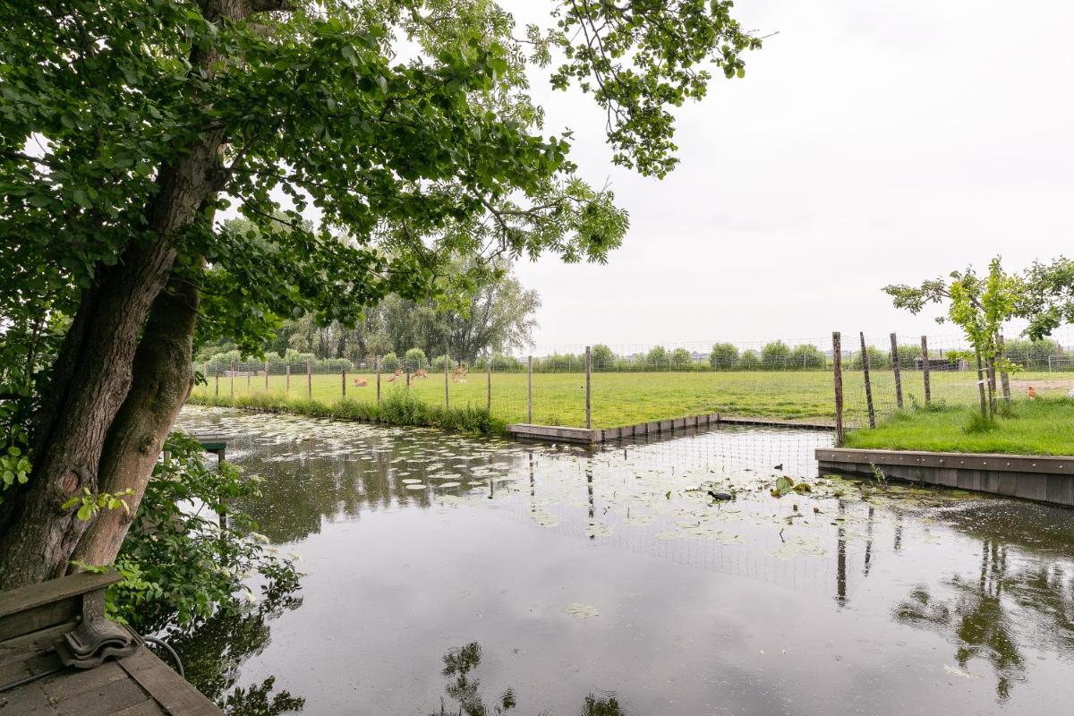 Cottage 'Onder de boompjes' - Housity