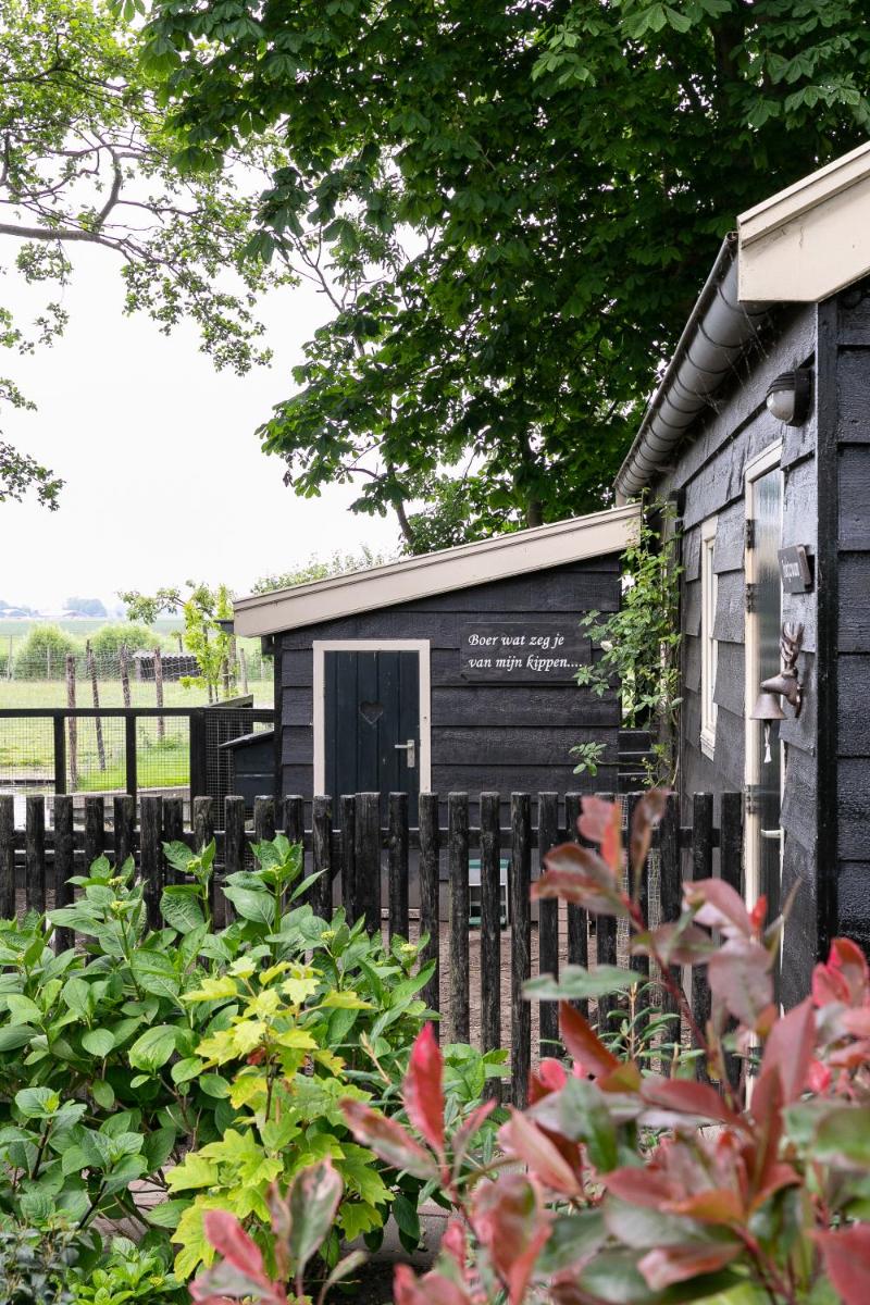 Cottage 'Onder de boompjes' - Housity