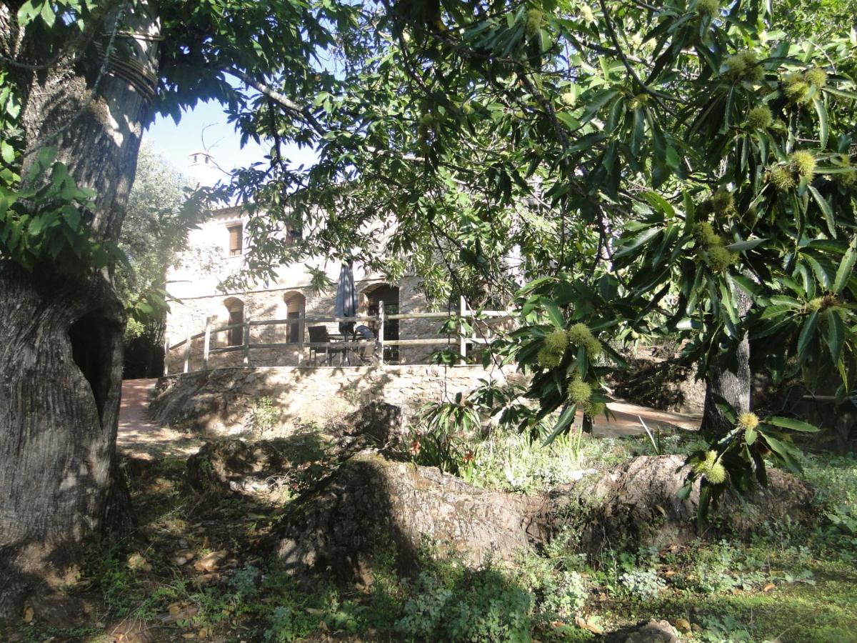 Finca la Colorá - Housity