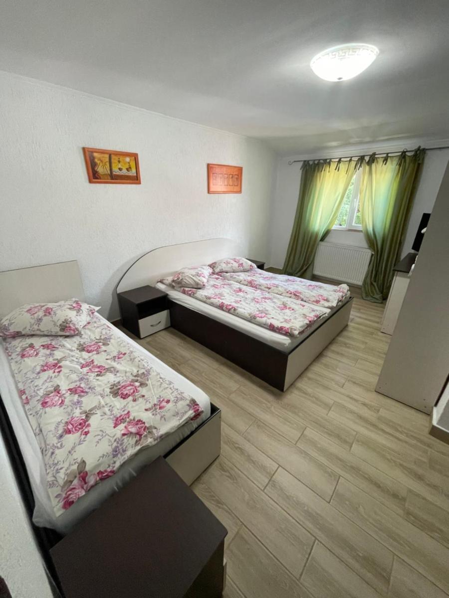 La Buna Văliug - Housity