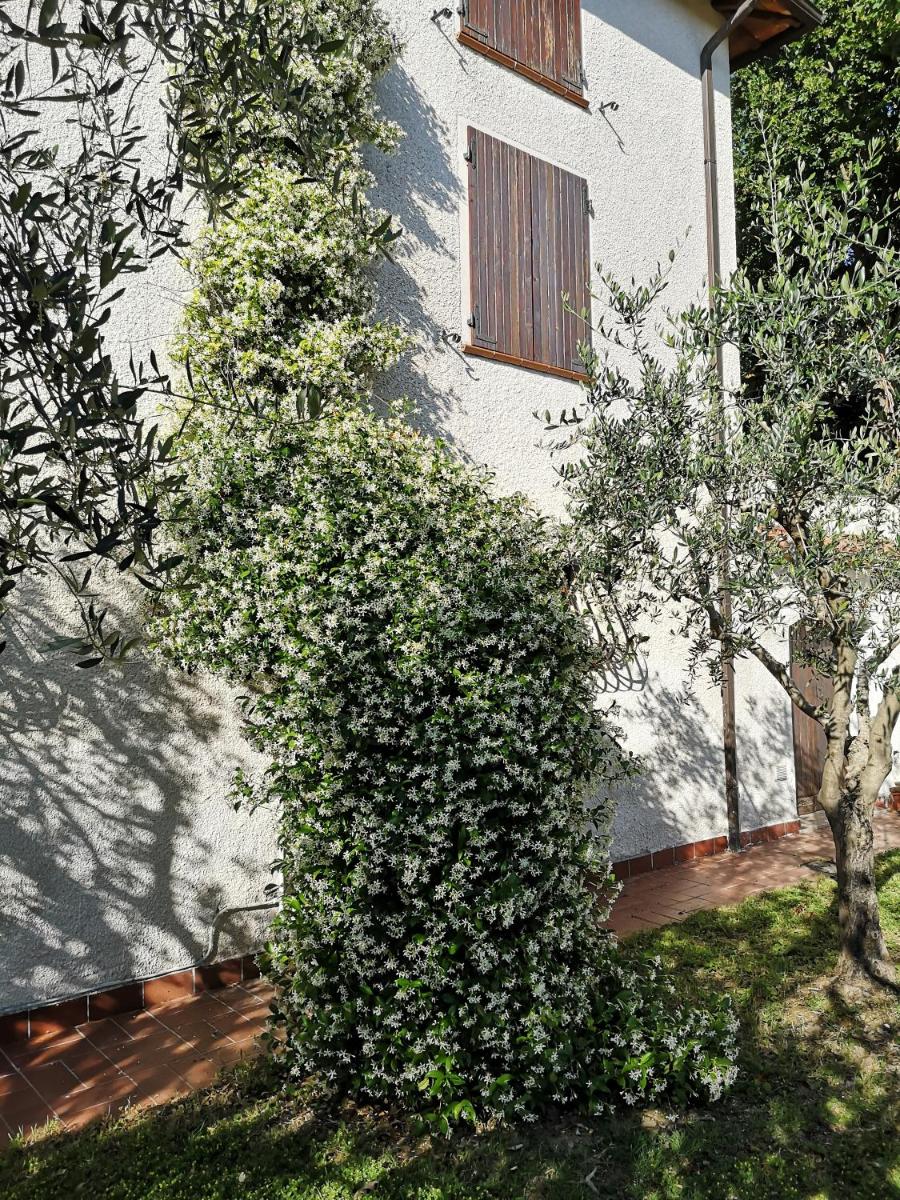 Santa Croce - Housity