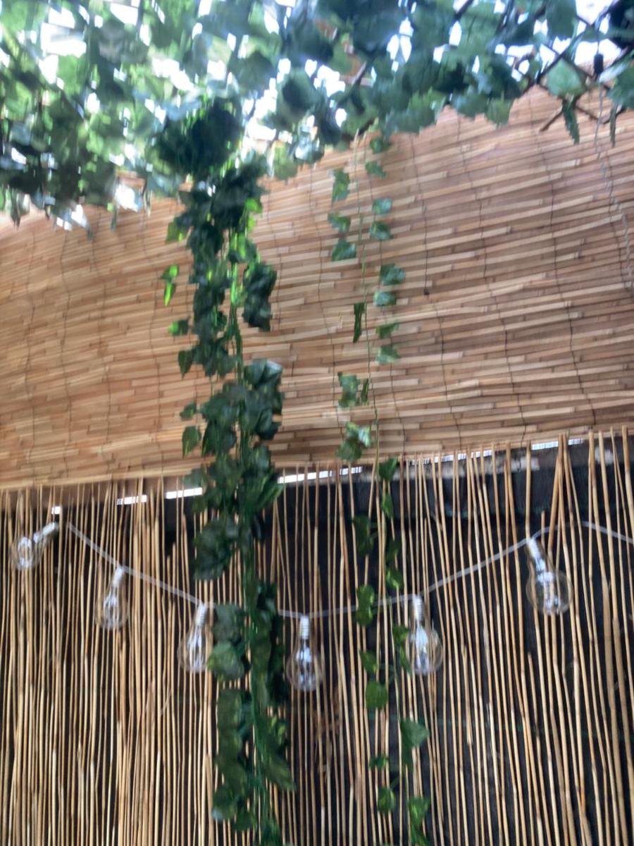 Jacuzzi Jungle City Centre - Housity