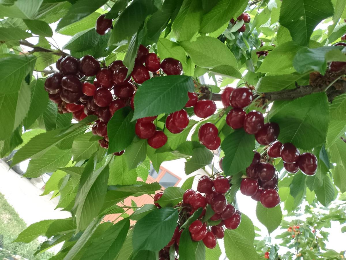 B&B La Chiocciola - Housity