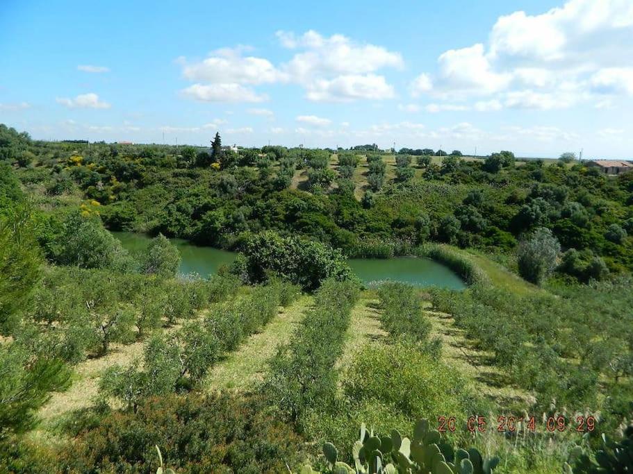 Rustic cottage in Montalbano jonico - Housity