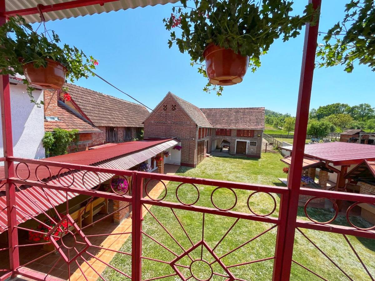 Salaš 318 - B&B Farm Experience - Housity
