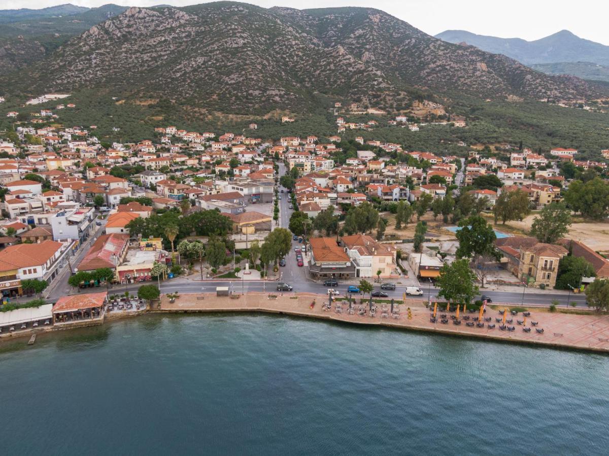 The Vacationer - Housity